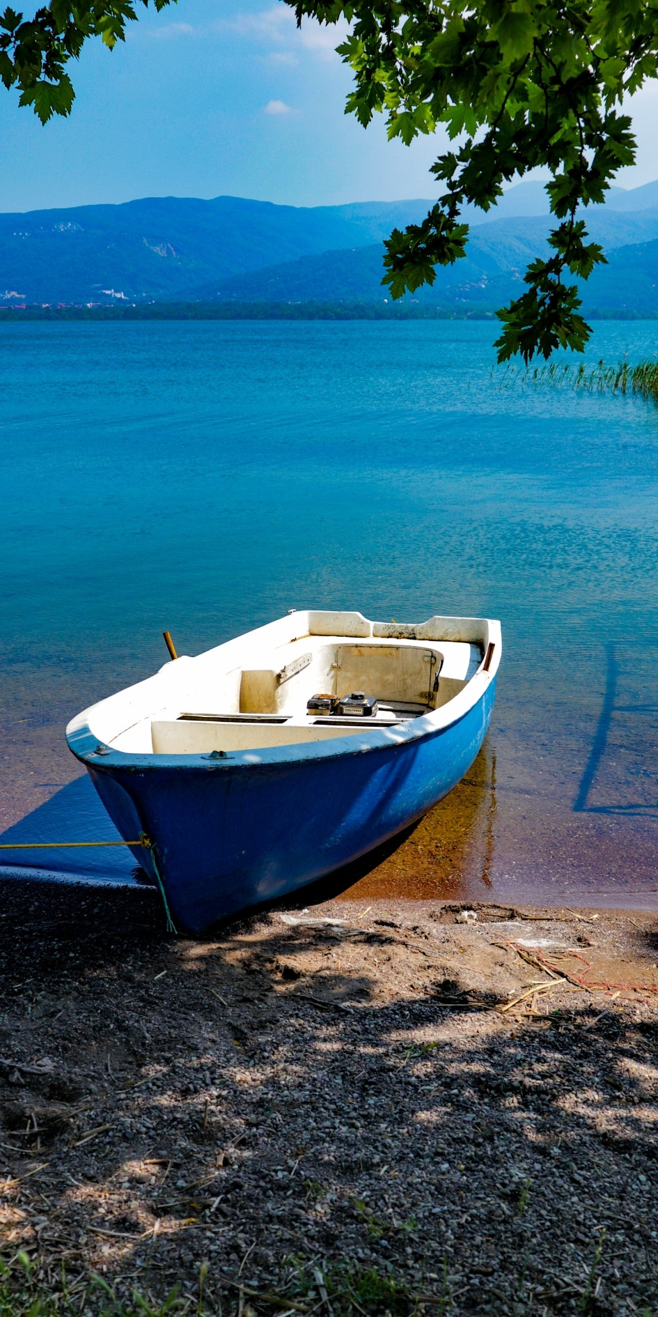 Sapanca