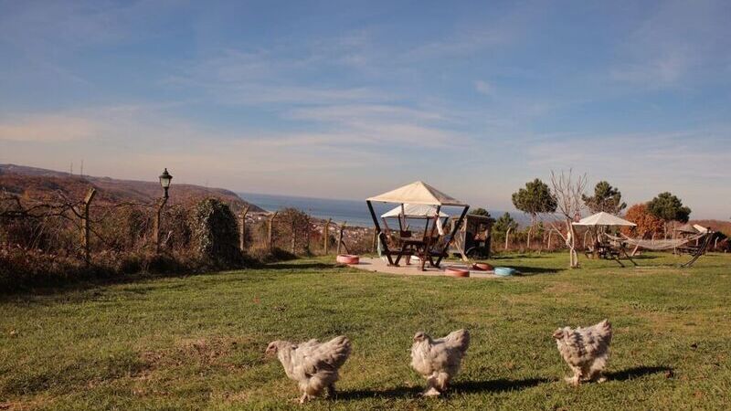 Ağva Garden Bungalov