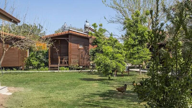 Şehri Bungalov 1-0