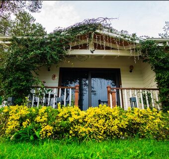 Taşyaka Bungalov