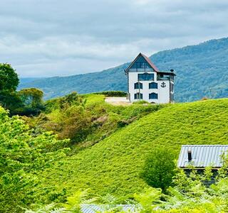 Rize Ardeşen Bungalov