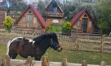 Kazdağları İda Natura Life Style Bungalov